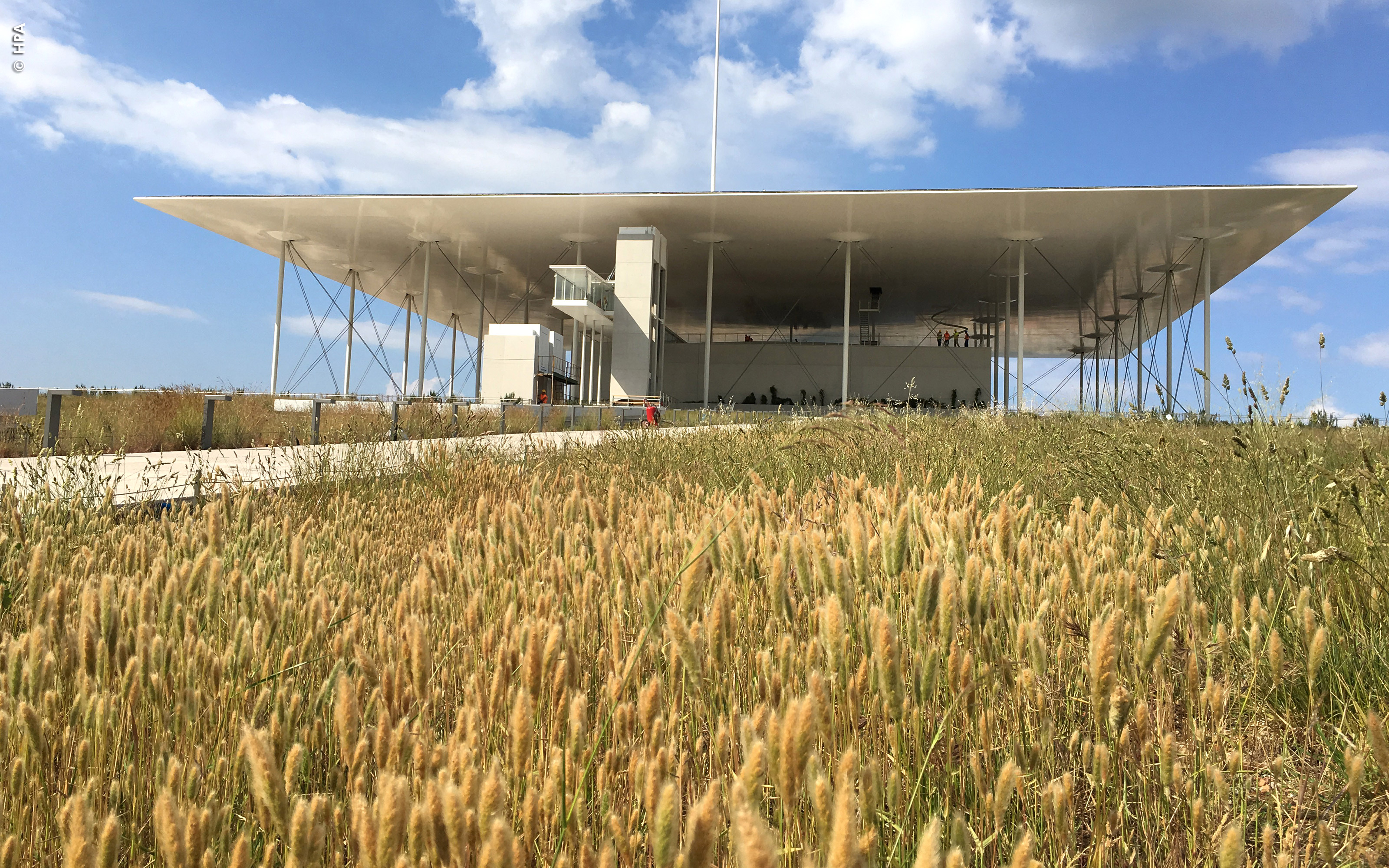 Changing seasons create diversified visual impressions. Grasses on a roof garden